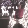 donna-christmas-deer