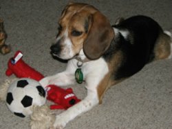 Maggie1
