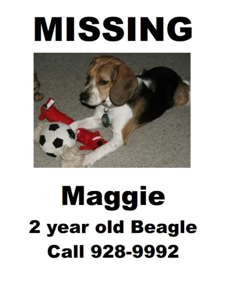 Missing