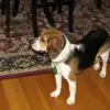 Maggie2