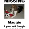 Missing