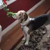 IMG_2258