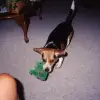 Skip0003