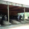 IMG011