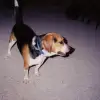 Skip0001