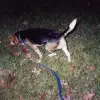 Skip0002
