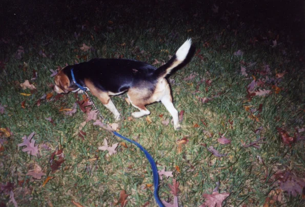 Skip0002