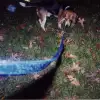 Skip0004