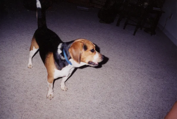 Skip0001