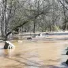 dig