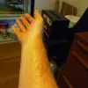 dav
