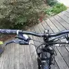 dav