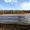 dav