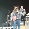 dig