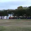 dig