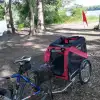 sdr
