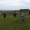 dav