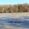 dig