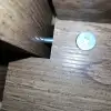 dav