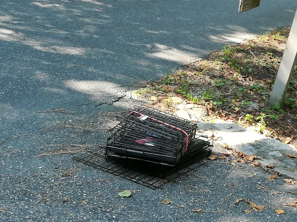 dig