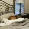 dig