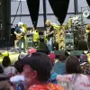 dig