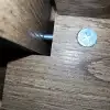 dav
