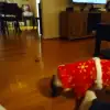 dav