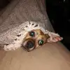 dav