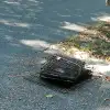 dig