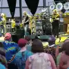 dig