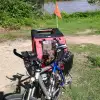 sdr