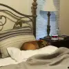 dig