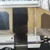 dav