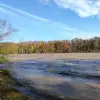 dav
