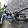 dav