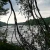 sdr