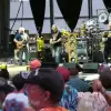 dig