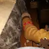 dav