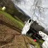 dav