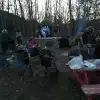 dav