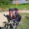 sdr