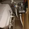 dav