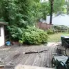 dav