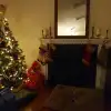 dav