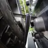 dav