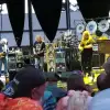 dig