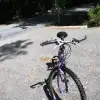 dav