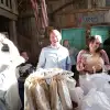 sdr