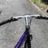 dav
